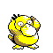 Psyduck